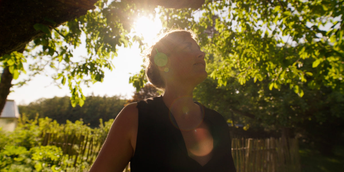 Psychedelische Retreats