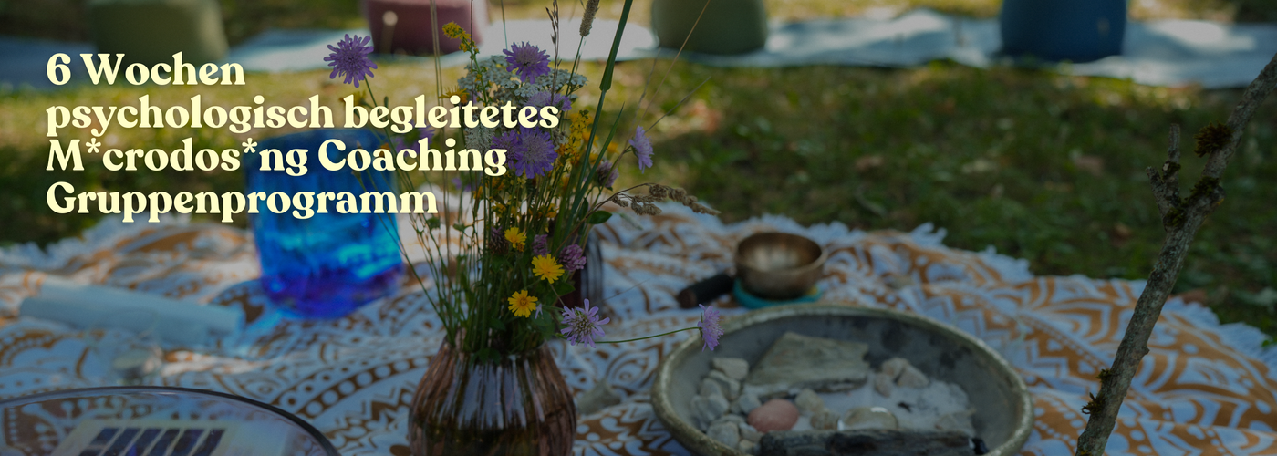 HERBALAPPROACH Psychedelika Shop – Legale Psychedelika online kaufen