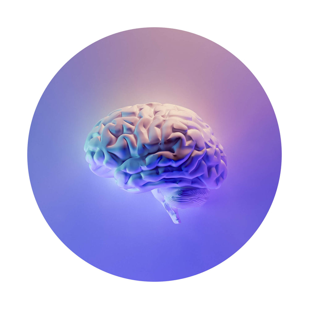 LSD Erfahrungsberichte